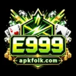 E999 game