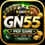 GN55 game